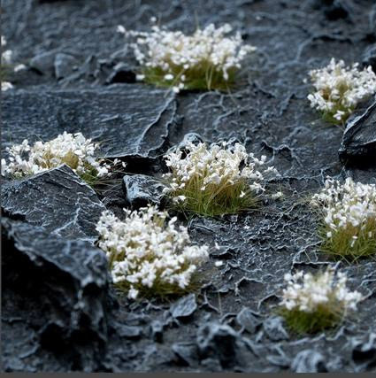 White Flowers