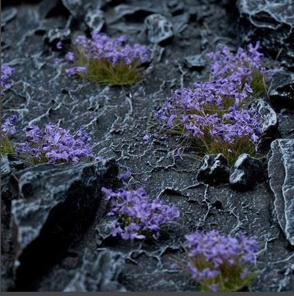 Violet Flowers