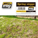 Spring Steppe