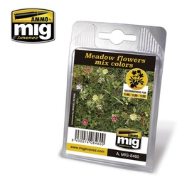 [A.MIG-8460] Meadow flowers mix colors