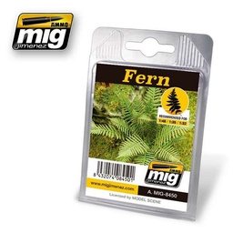 [A.MIG-8450] Fern